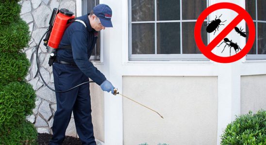 İspir Dezenfeksiyon böcek ilaçlama ve haşere kontrolü — ilaclama-tr.com